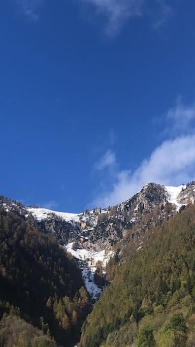 Il Sole Di Ester Branzi Bagian luar foto