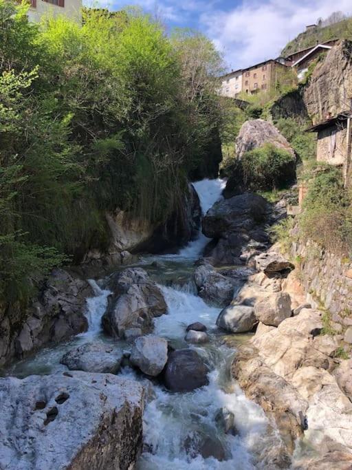Il Sole Di Ester Branzi Bagian luar foto